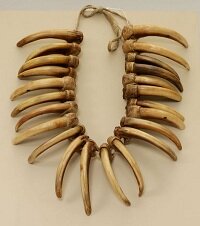 Necklace made of bear claws